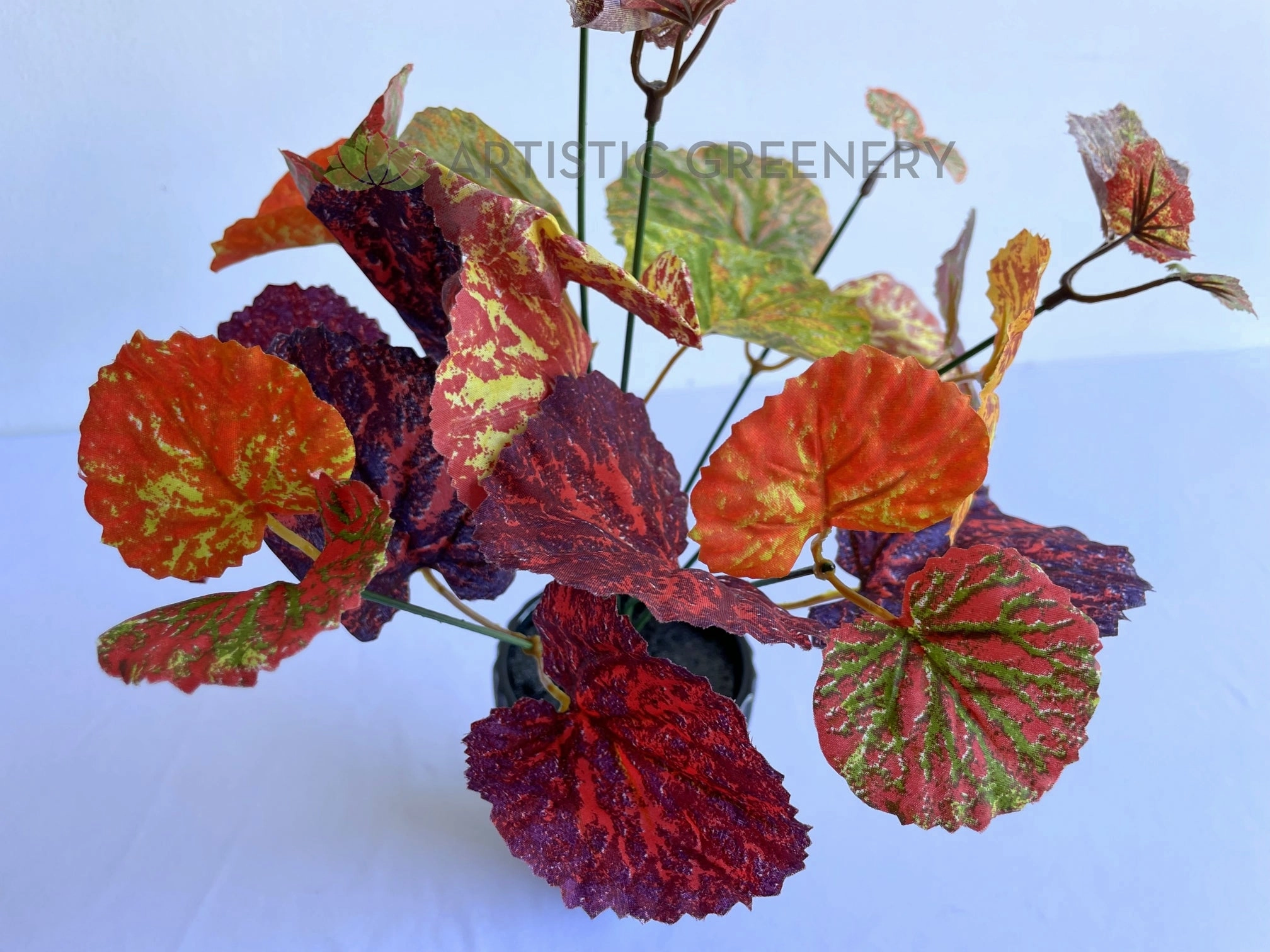 SP0432 Painted-leaf Begonia Bunch 32cm Orange