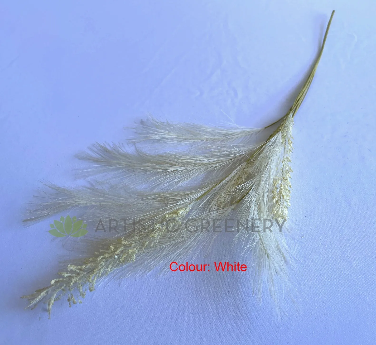 SP0434 Dried Style Pampas Grass Bunch 64cm 3 Colours