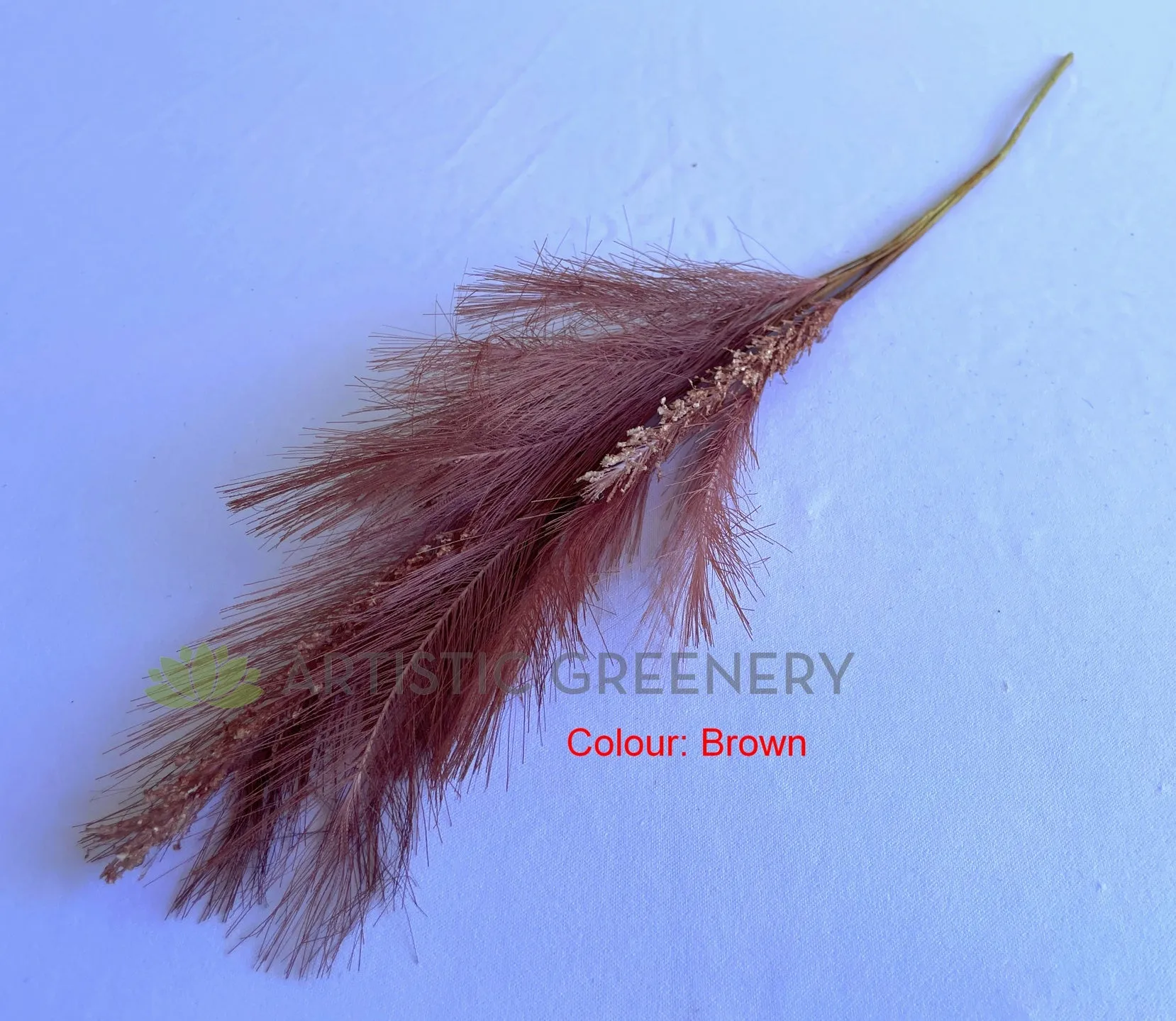 SP0434 Dried Style Pampas Grass Bunch 64cm 3 Colours