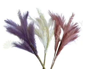 SP0434 Dried Style Pampas Grass Bunch 64cm 3 Colours dried green plant  
