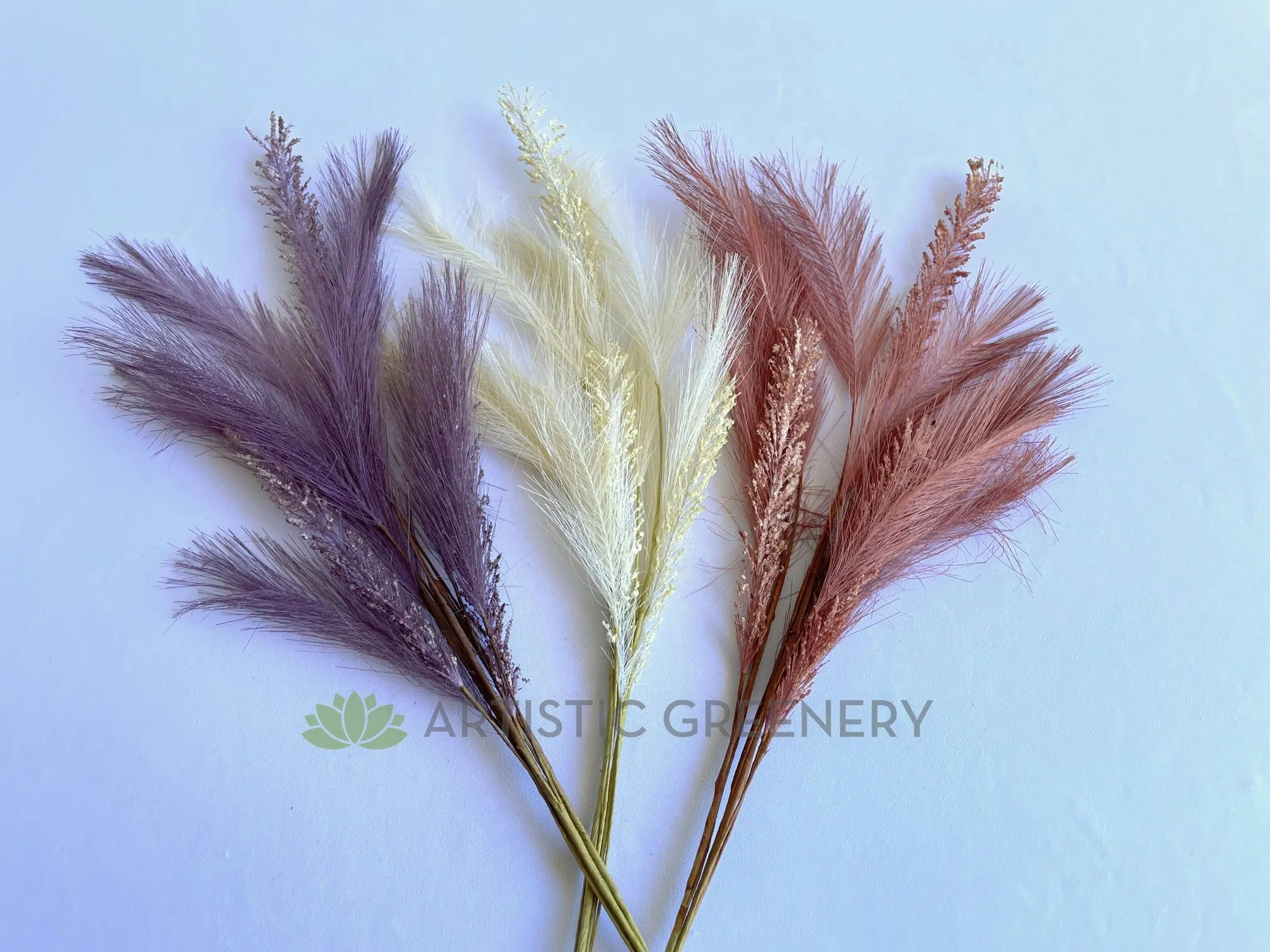 SP0434 Dried Style Pampas Grass Bunch 64cm 3 Colours