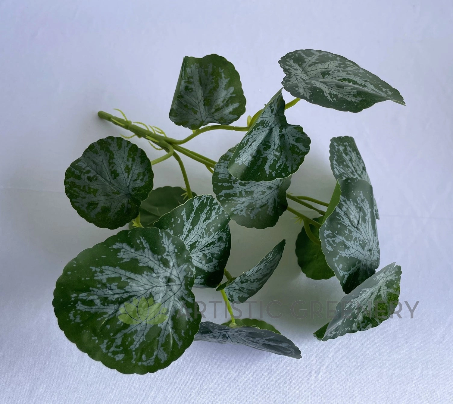 SP0438 Lilypad Begonia 32cm