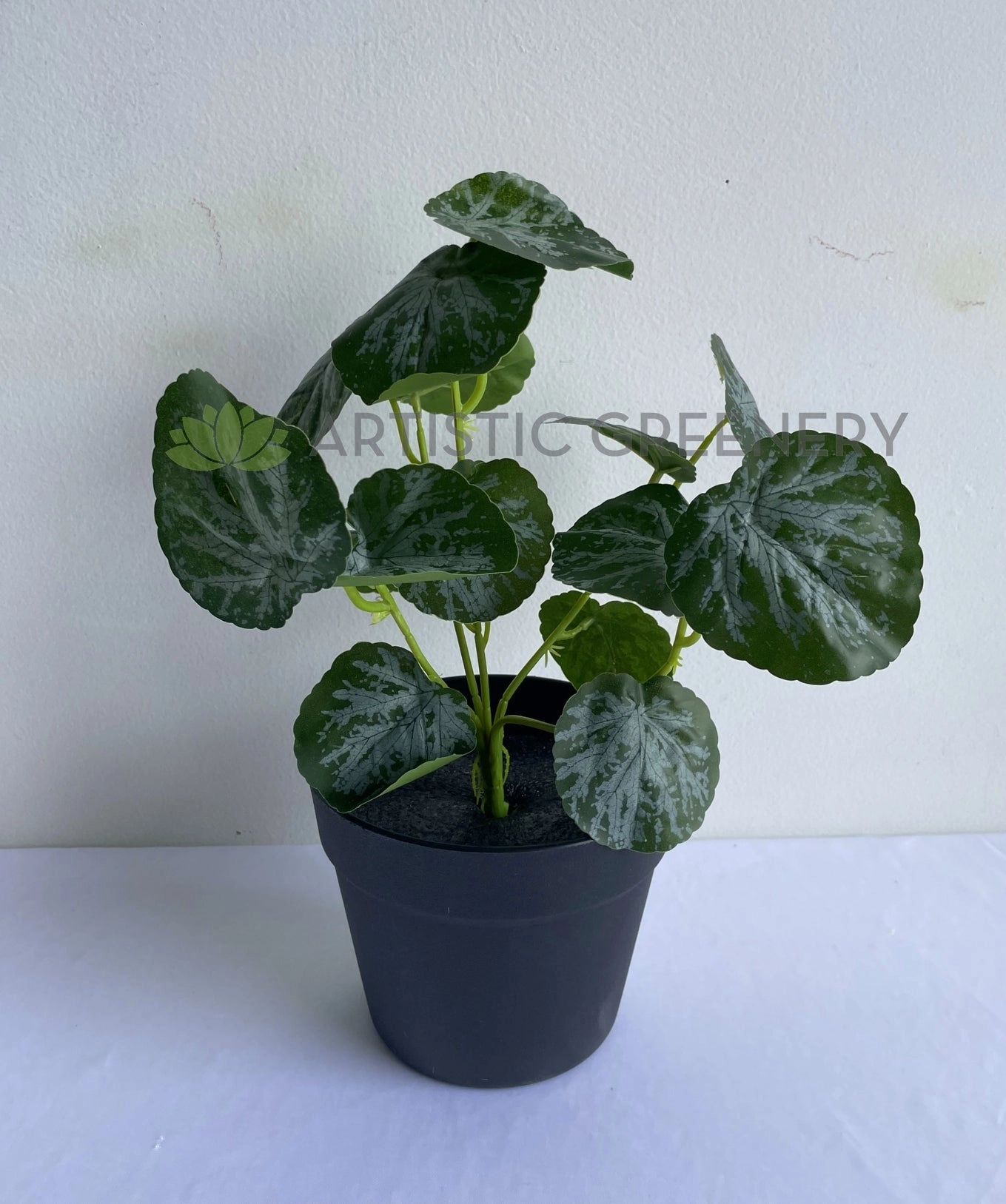 SP0438 Lilypad Begonia 32cm