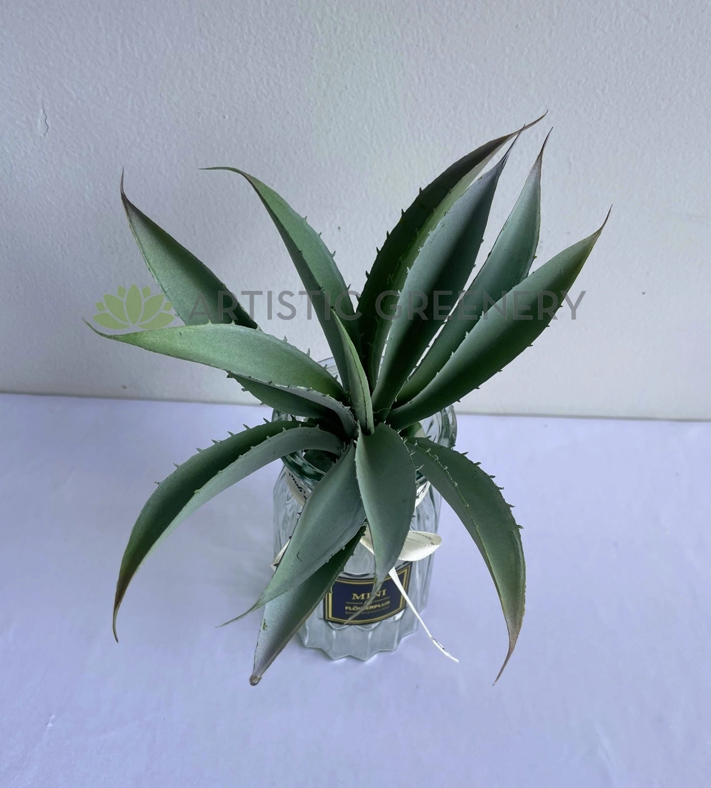 SP0441 Aloe Vera 27cm Grey
