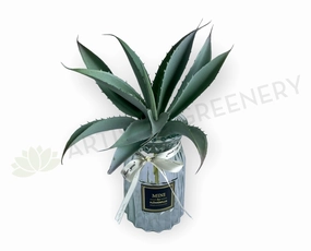 SP0441 Aloe Vera 27cm Grey mini ornamental plant  