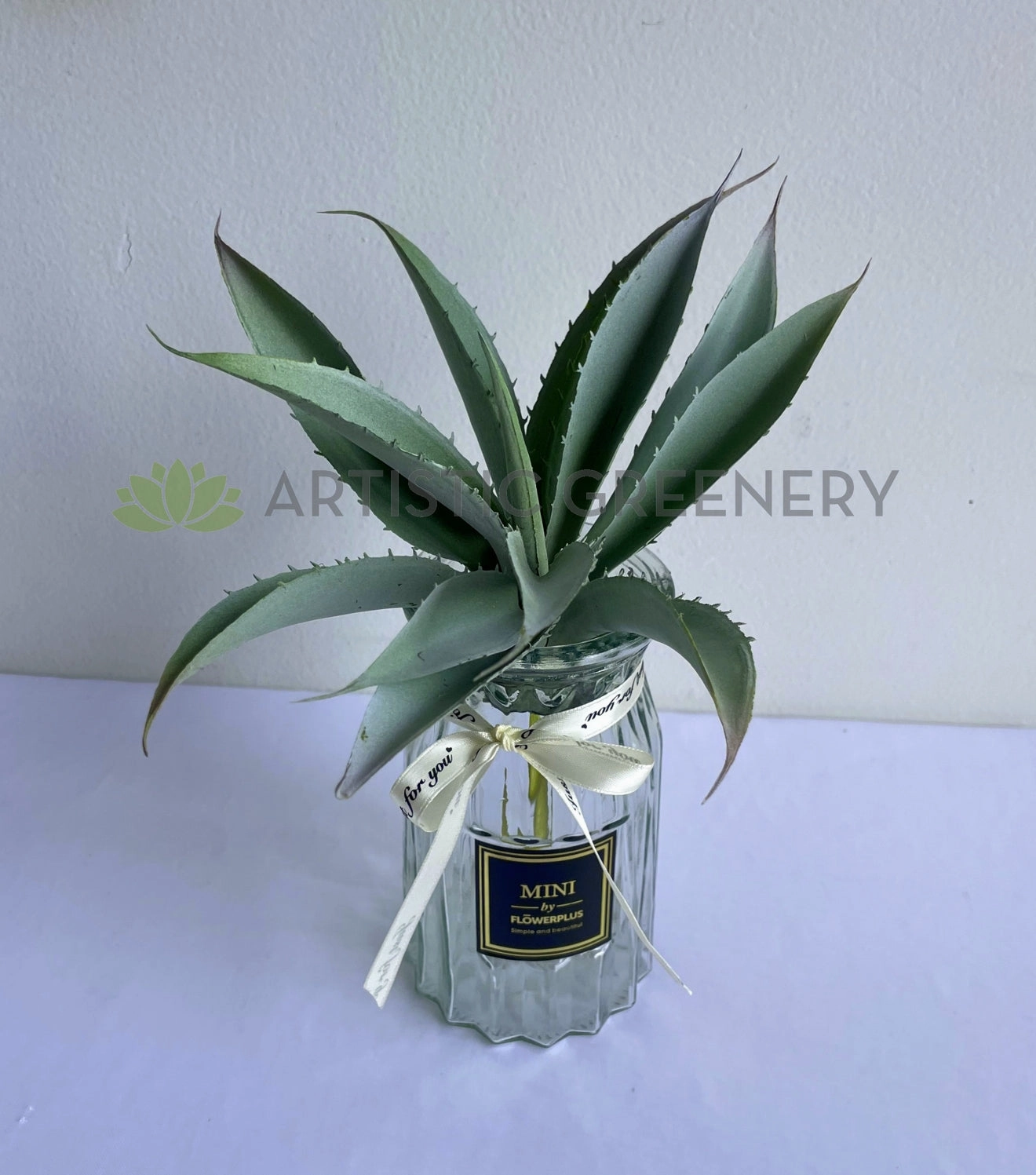 SP0441 Aloe Vera 27cm Grey