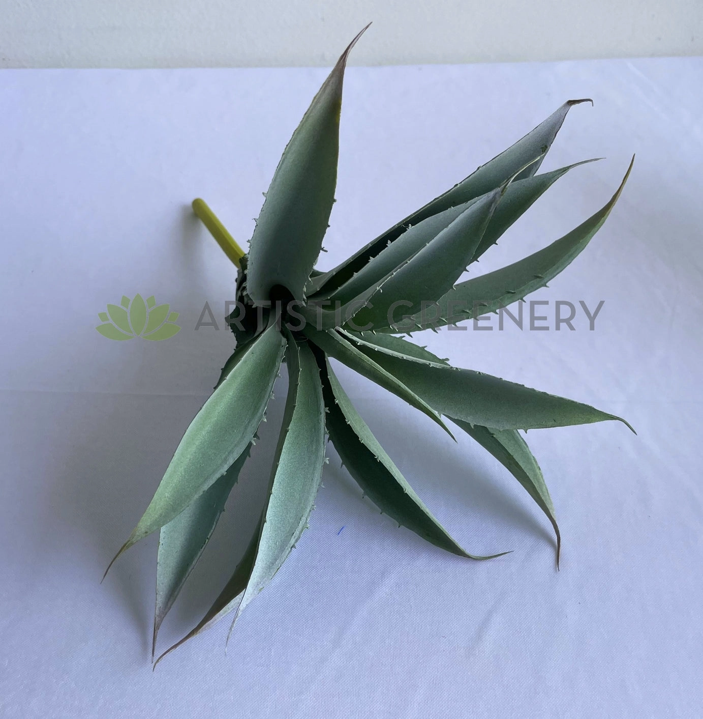 SP0441 Aloe Vera 27cm Grey
