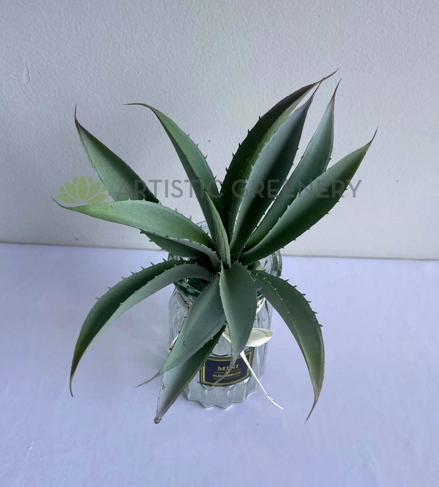 SP0441 Aloe Vera 27cm Grey