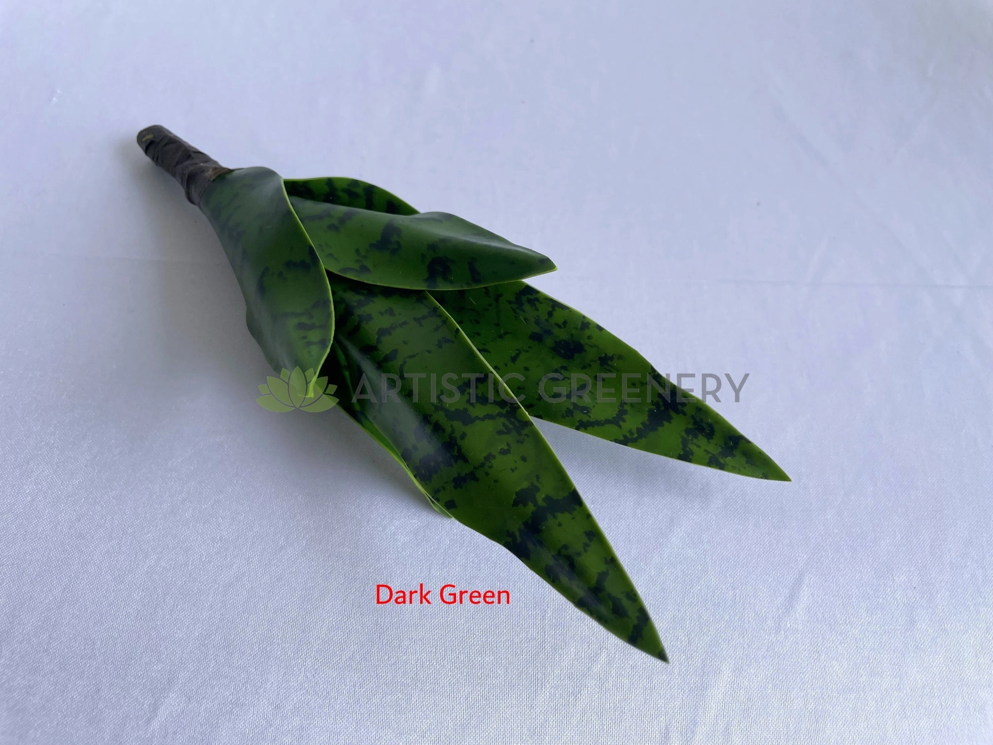 SP0442 Small Mother-in-law's Tongue / Snake Plant / Sansevieria 24cm Variegated / Dark Green