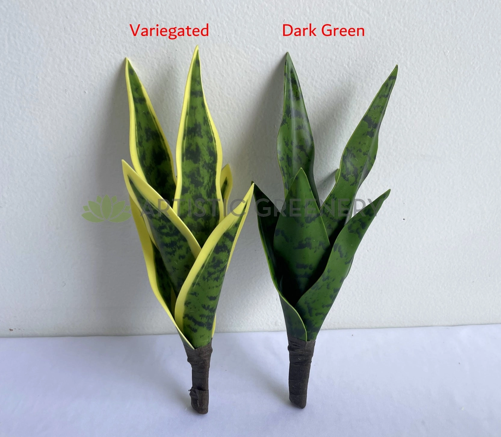 SP0442 Small Mother-in-law's Tongue / Snake Plant / Sansevieria 24cm Variegated / Dark Green