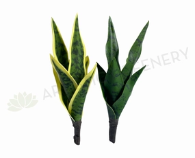 SP0442 Small Mother-in-law's Tongue / Snake Plant / Sansevieria 24cm Variegated / Dark Green indoor plant stand  