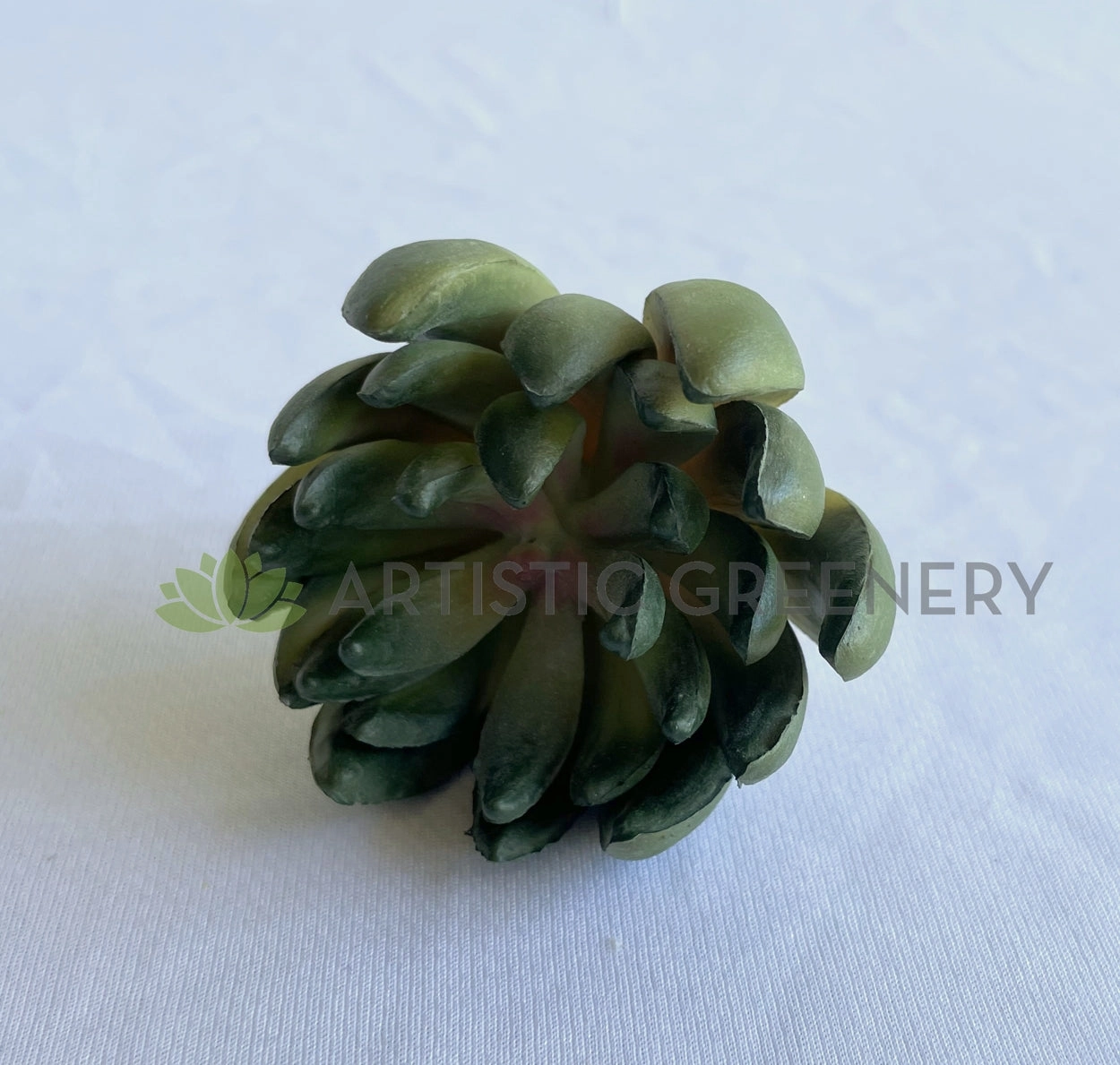 SP0445 Sedum Succulent 11cm Green