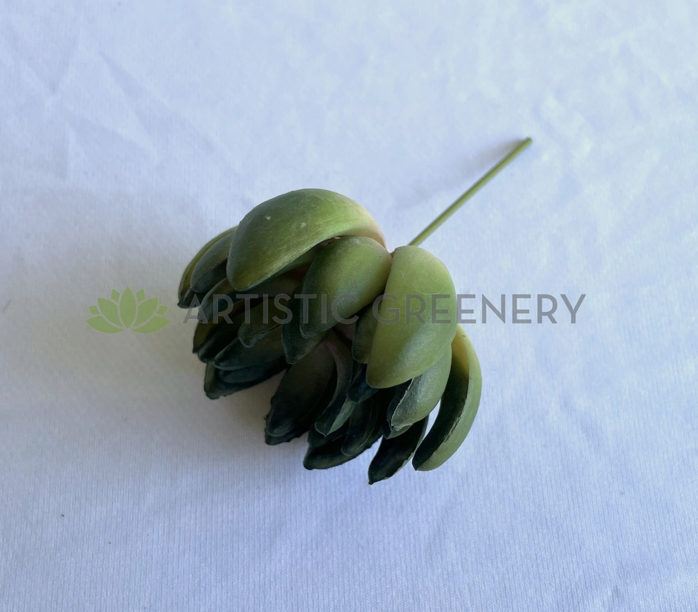 SP0445 Sedum Succulent 11cm Green