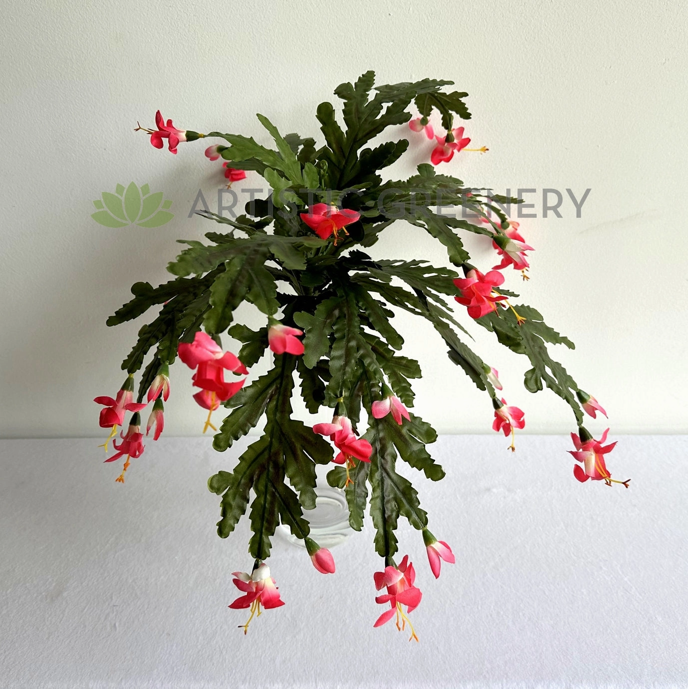 SP0449 Schlumbergera / Christmas Cactus 46cm