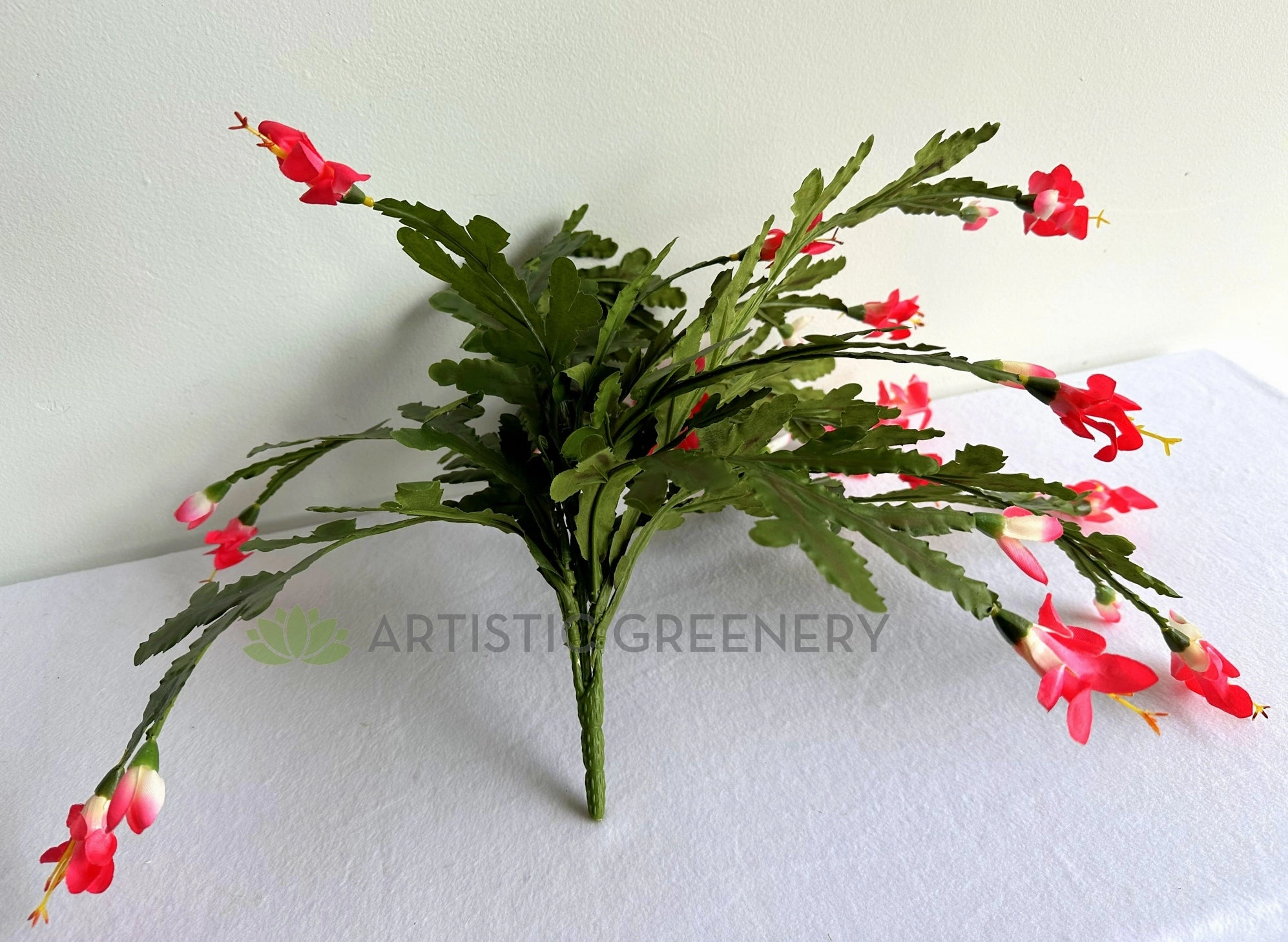 SP0449 Schlumbergera / Christmas Cactus 46cm