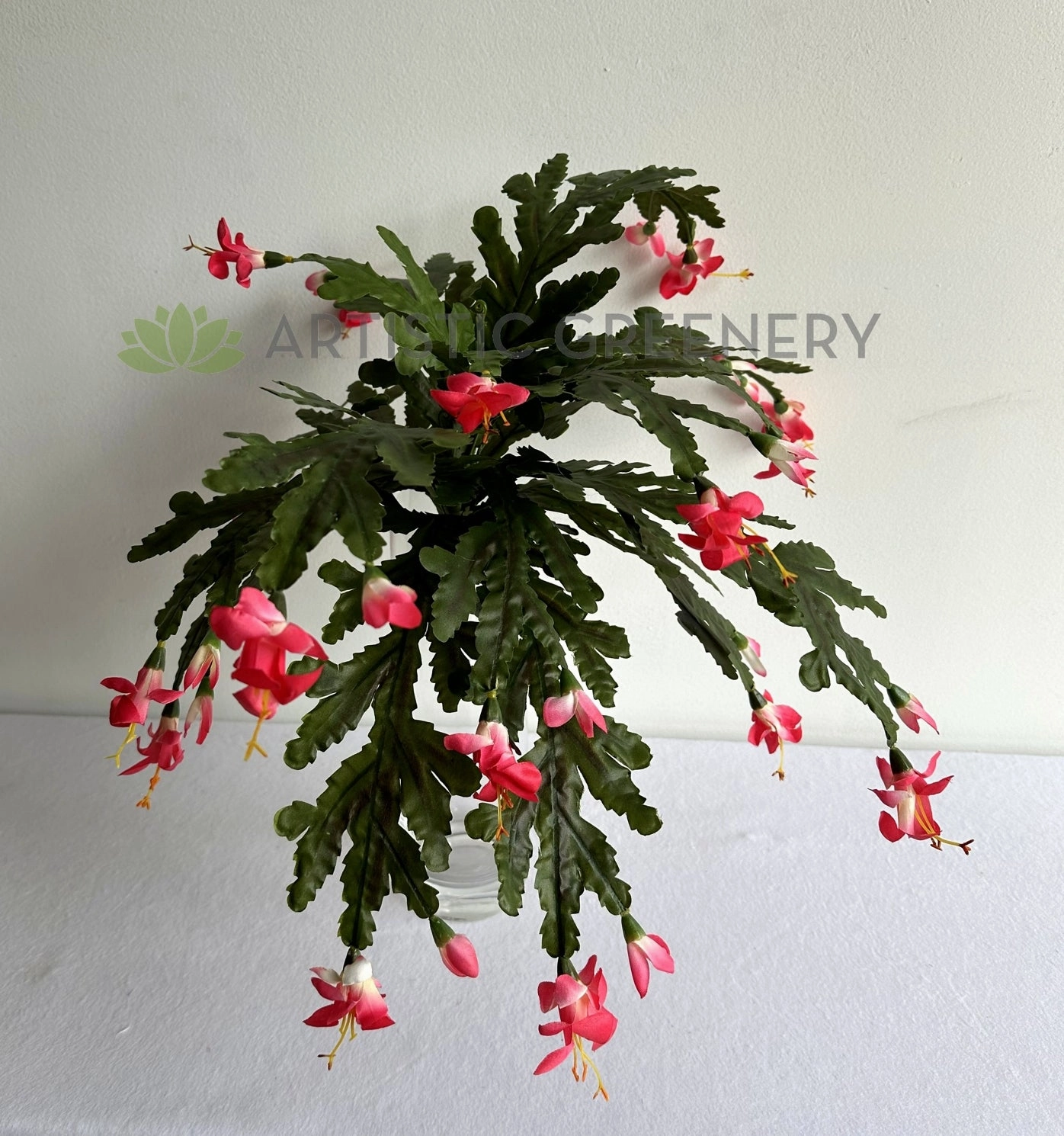 SP0449 Schlumbergera / Christmas Cactus 46cm