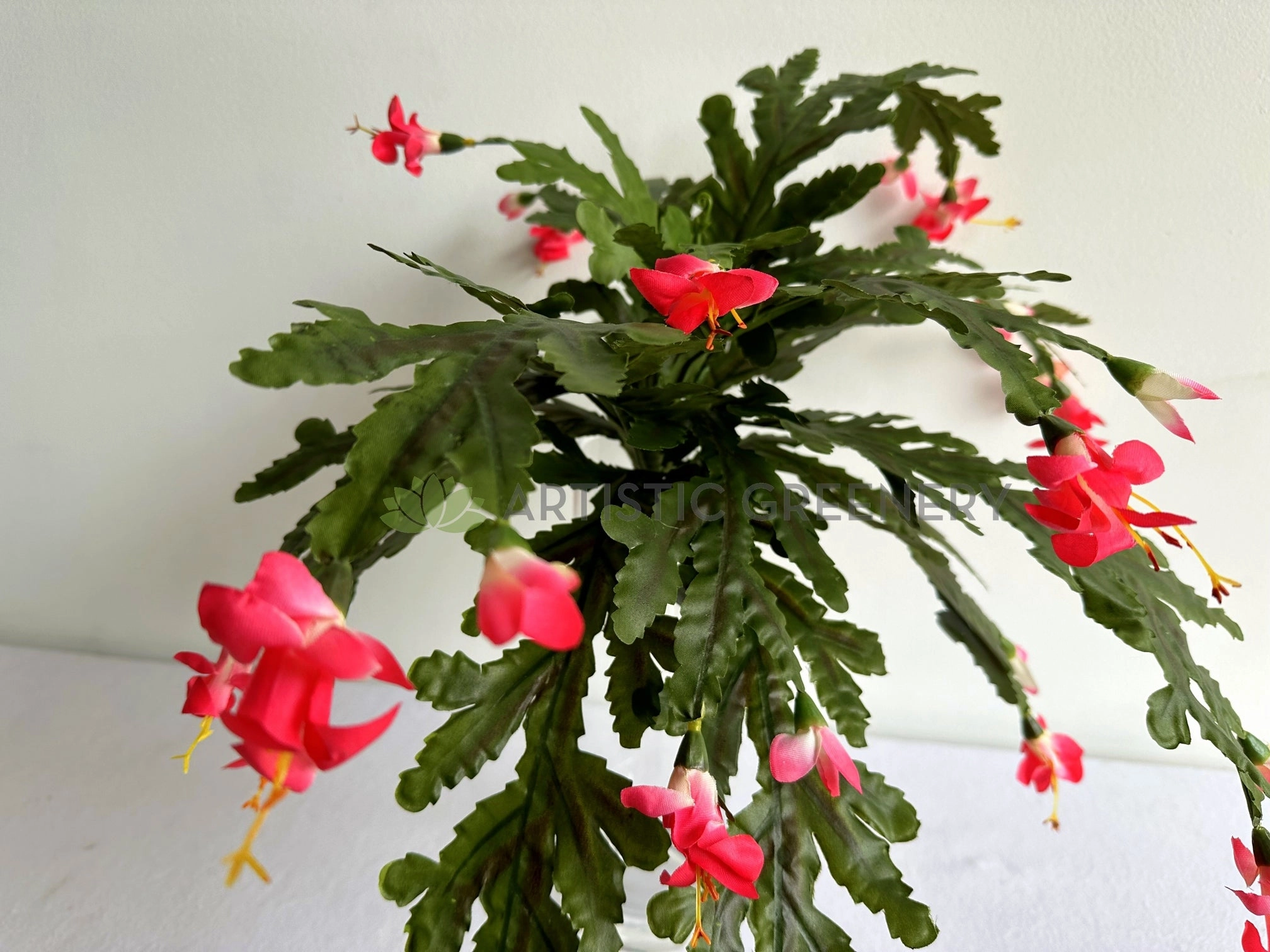 SP0449 Schlumbergera / Christmas Cactus 46cm