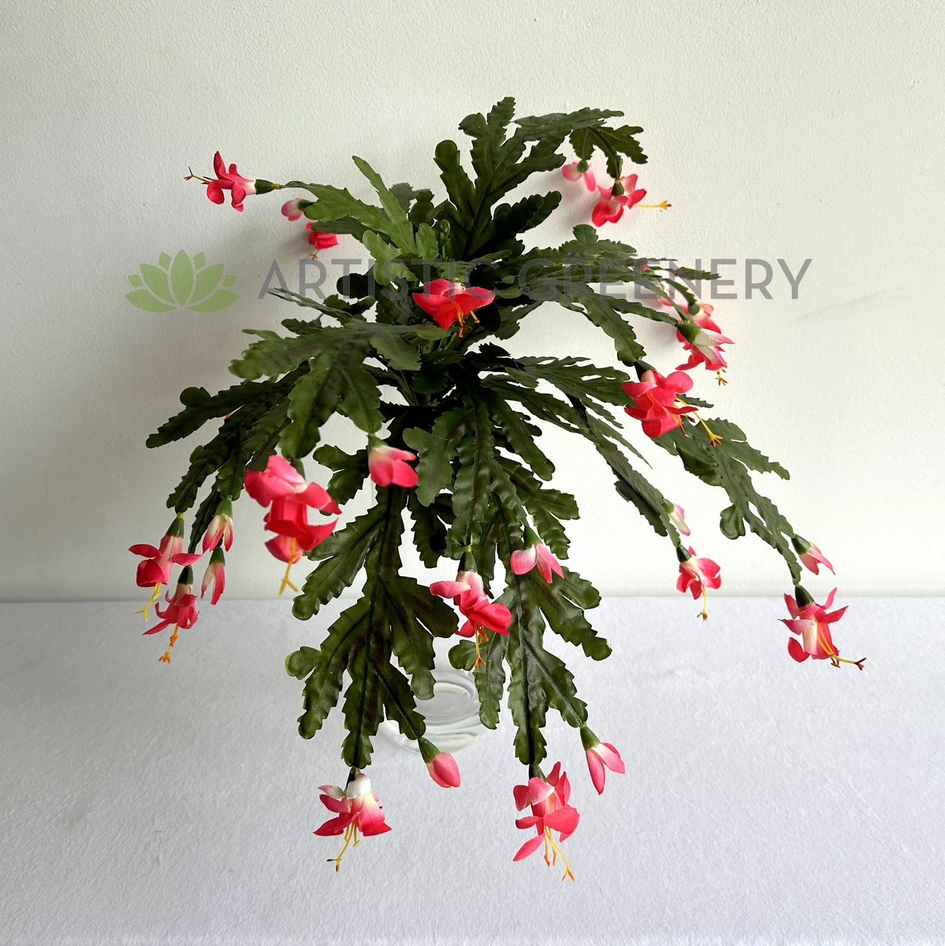 SP0449 Schlumbergera / Christmas Cactus 46cm
