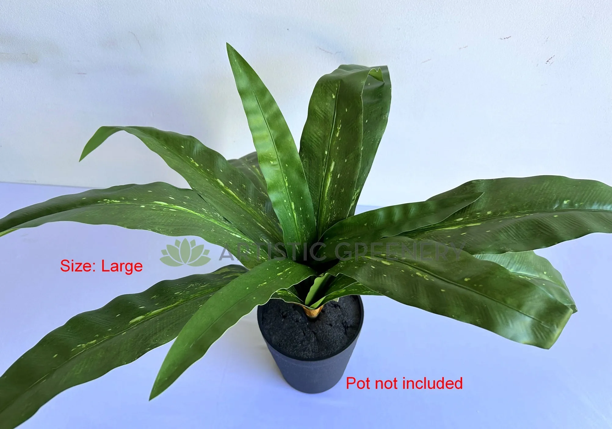 SP0455 Bird's Nest Fern Availalbe in 2 Sizes