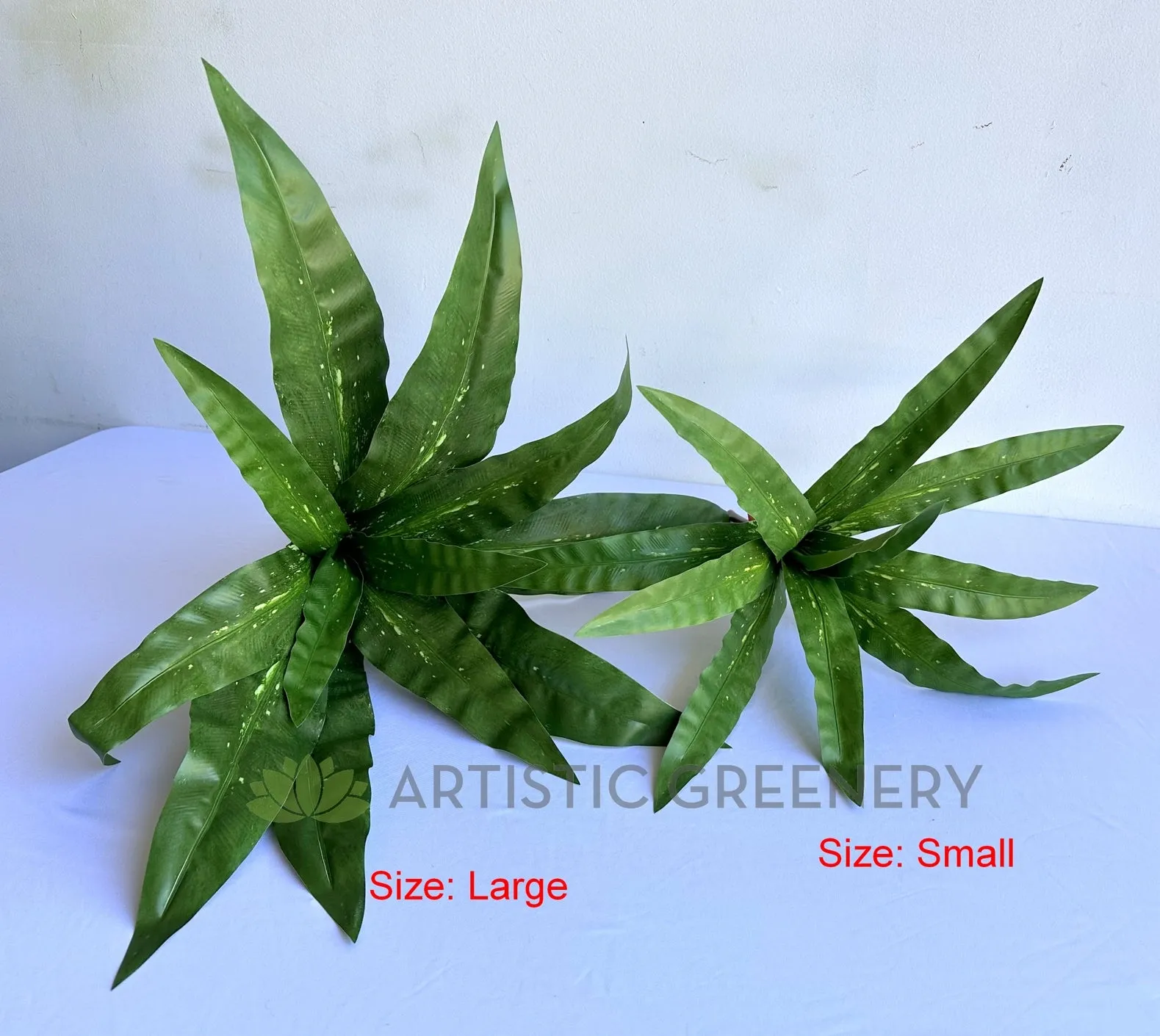 SP0455 Bird's Nest Fern Availalbe in 2 Sizes