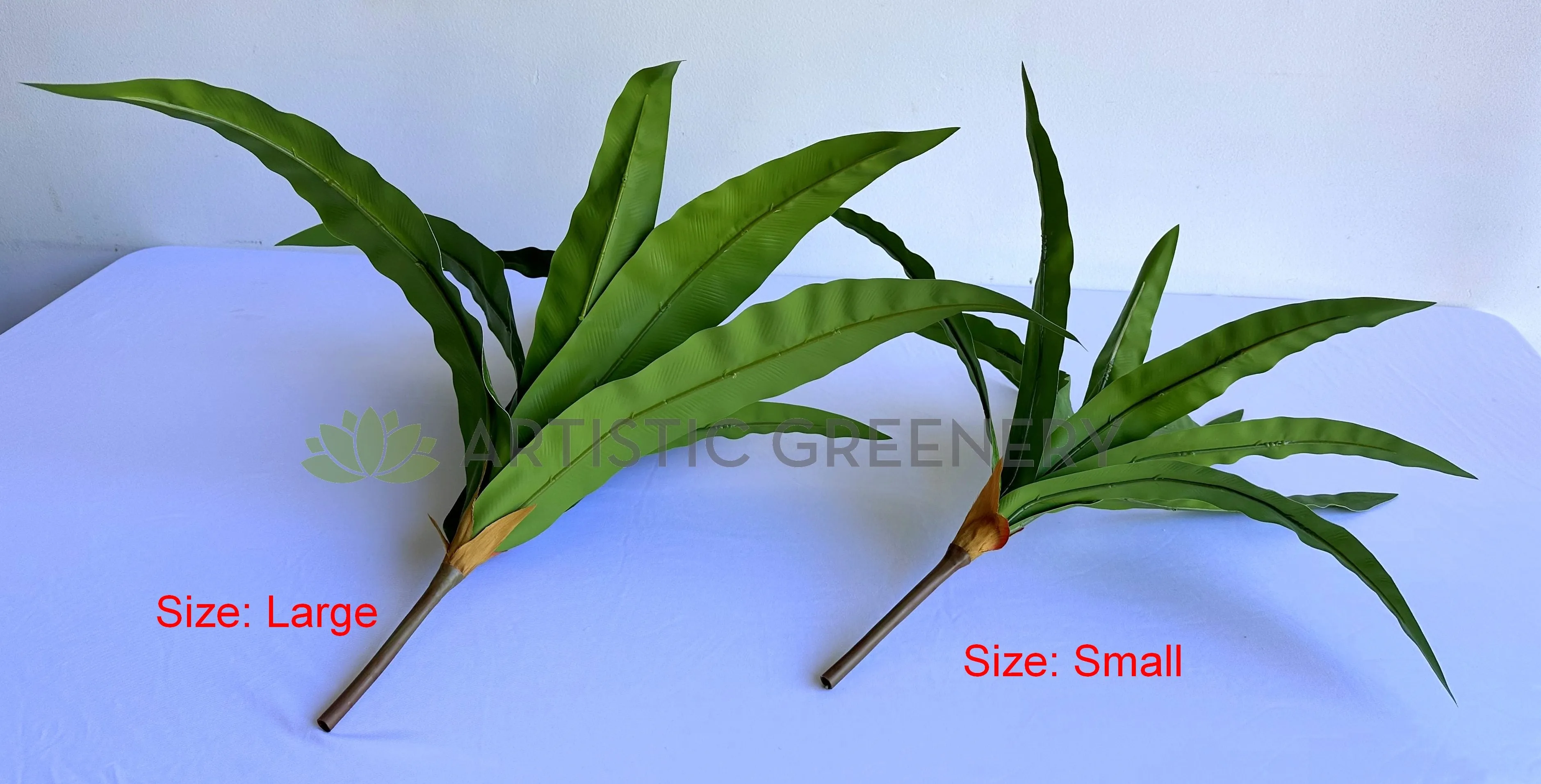 SP0455 Bird's Nest Fern Availalbe in 2 Sizes