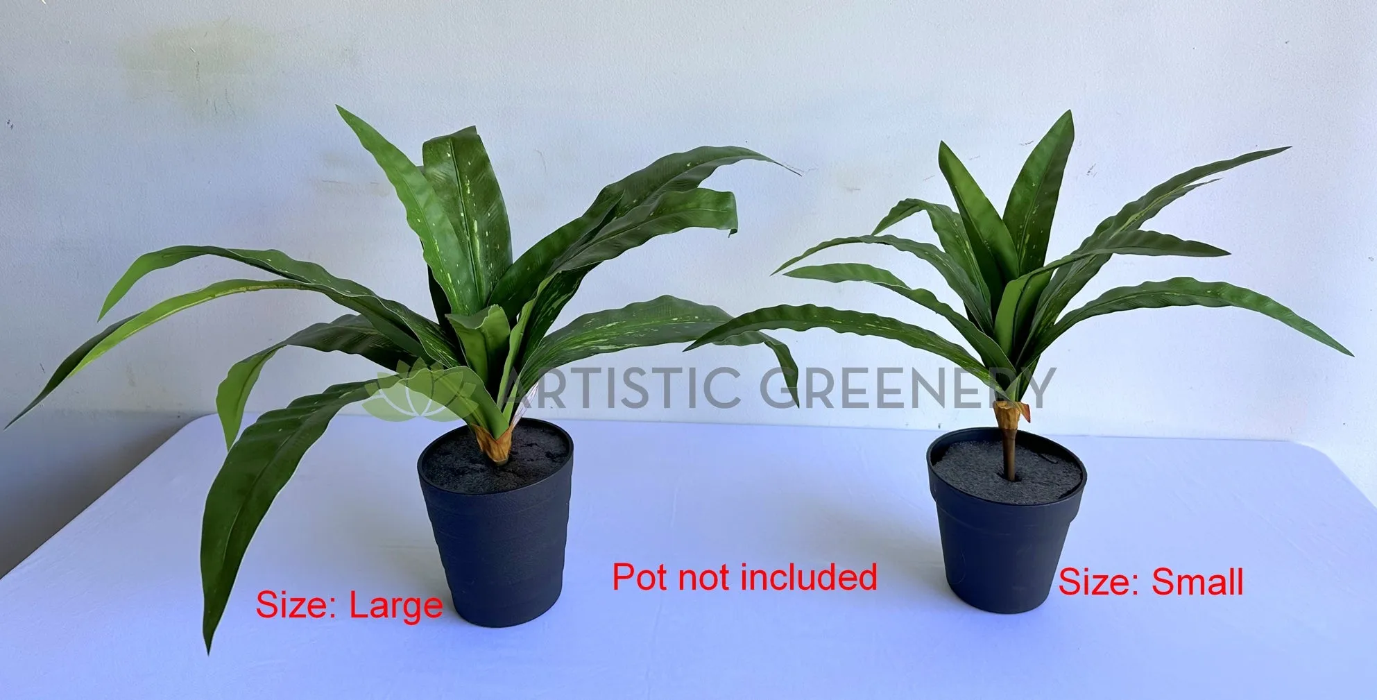SP0455 Bird's Nest Fern Availalbe in 2 Sizes