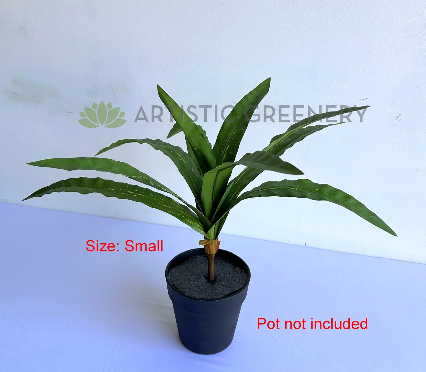 SP0455 Bird's Nest Fern Availalbe in 2 Sizes