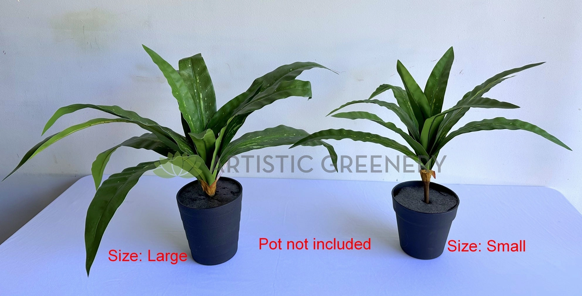 SP0455 Bird's Nest Fern Availalbe in 2 Sizes