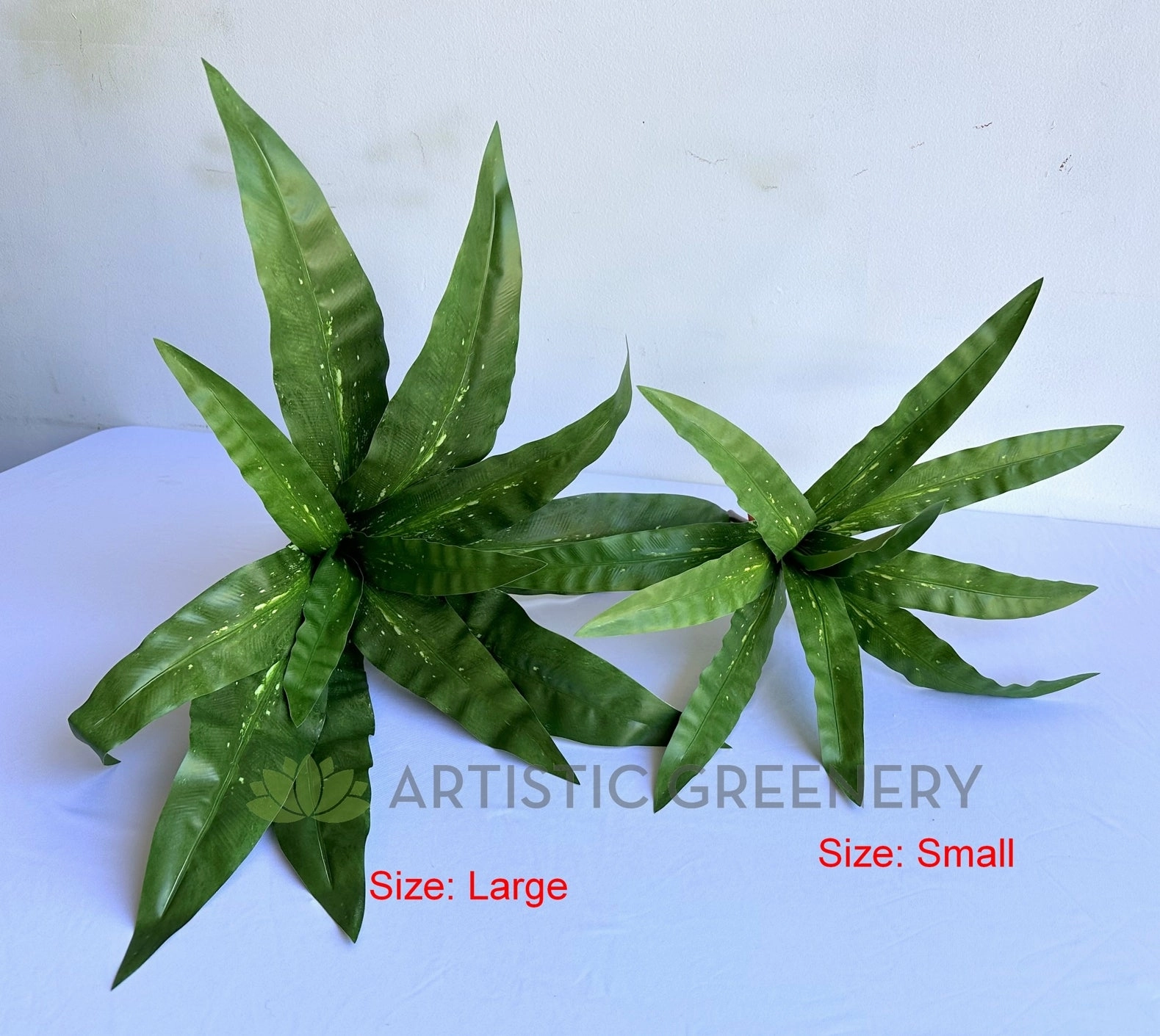 SP0455 Bird's Nest Fern Availalbe in 2 Sizes