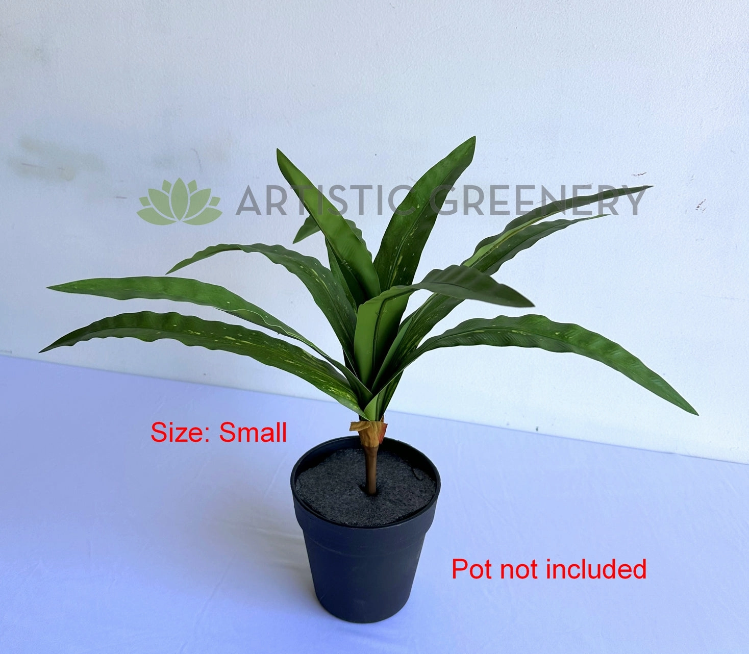 SP0455 Bird's Nest Fern Availalbe in 2 Sizes