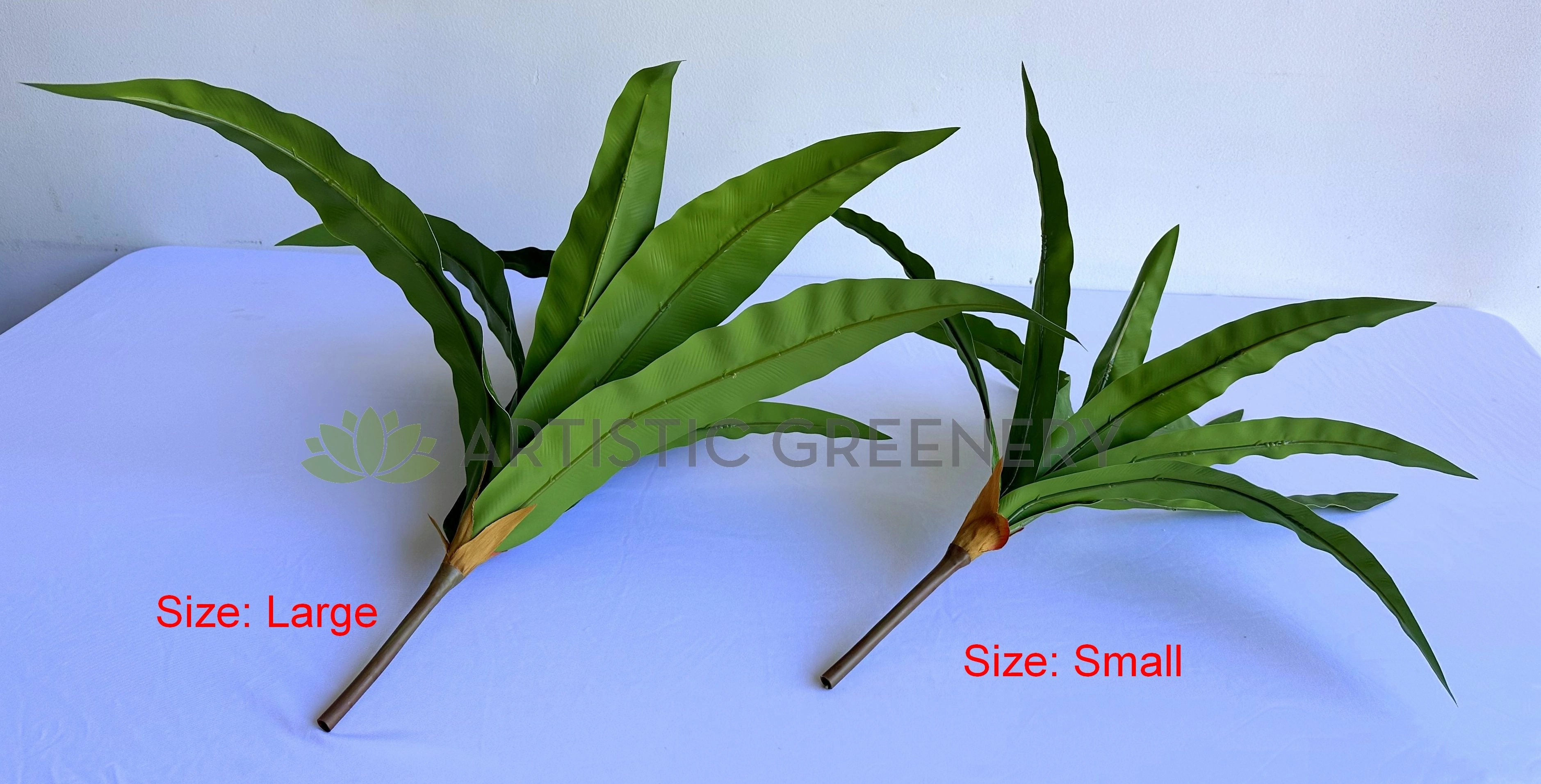SP0455 Bird's Nest Fern Availalbe in 2 Sizes