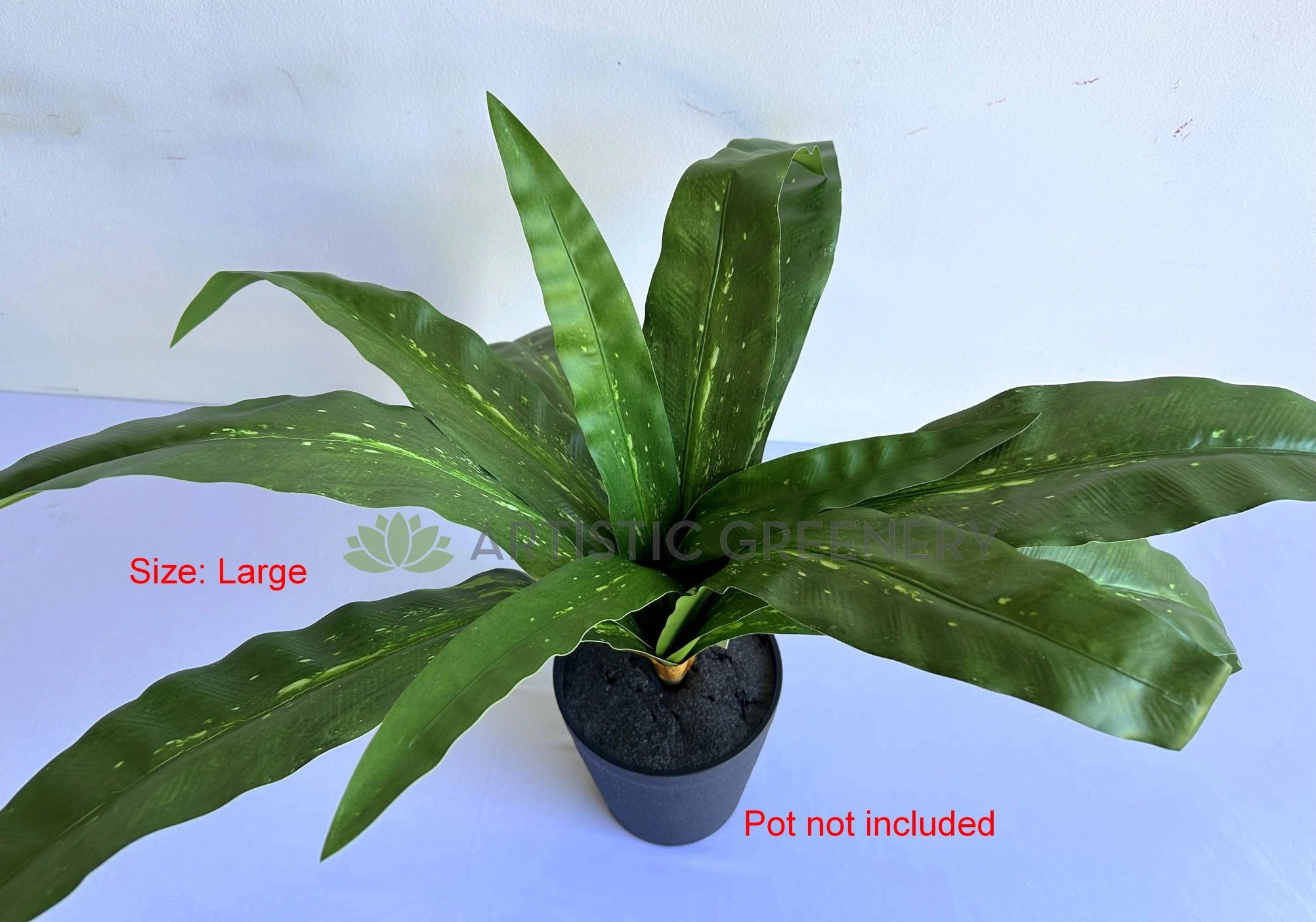 SP0455 Bird's Nest Fern Availalbe in 2 Sizes