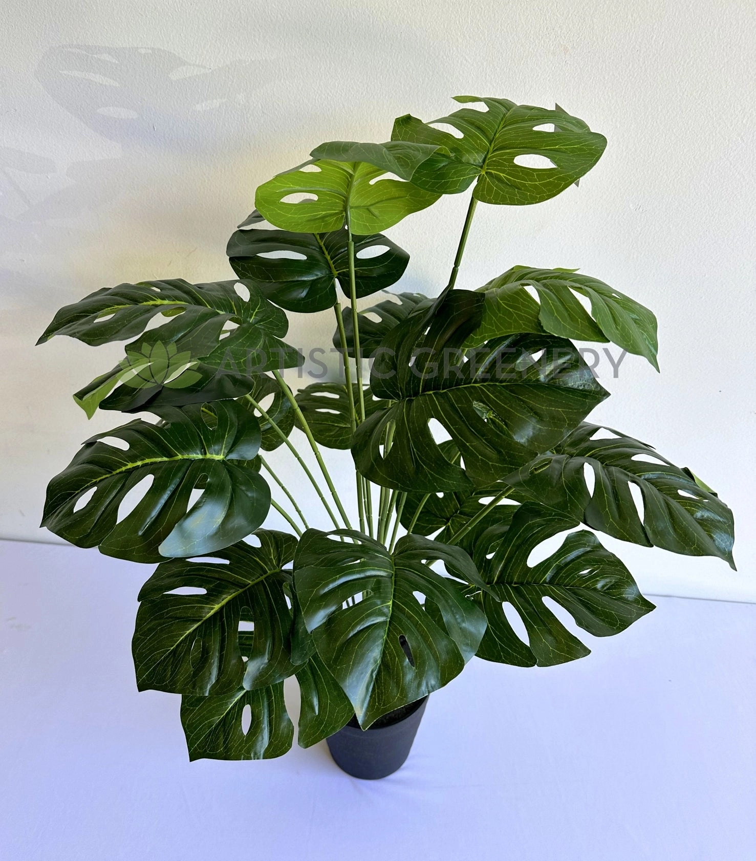 SP0456 Monstera Plant 65cm