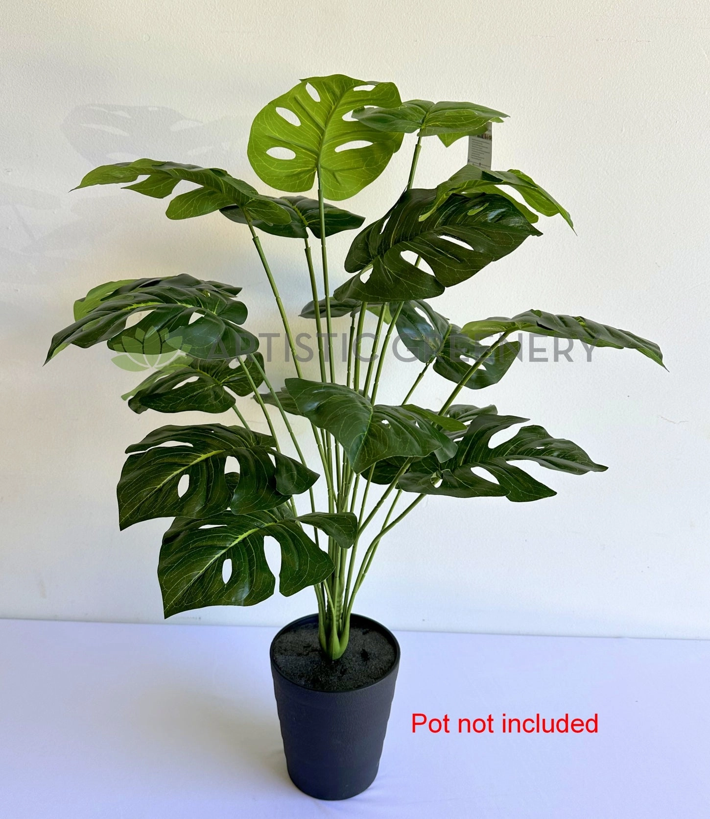 SP0456 Monstera Plant 65cm