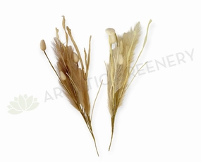 SP0460 Dried Style Pampas Grass with Bunny Tails 59cm White / Brown indoor houseplants  