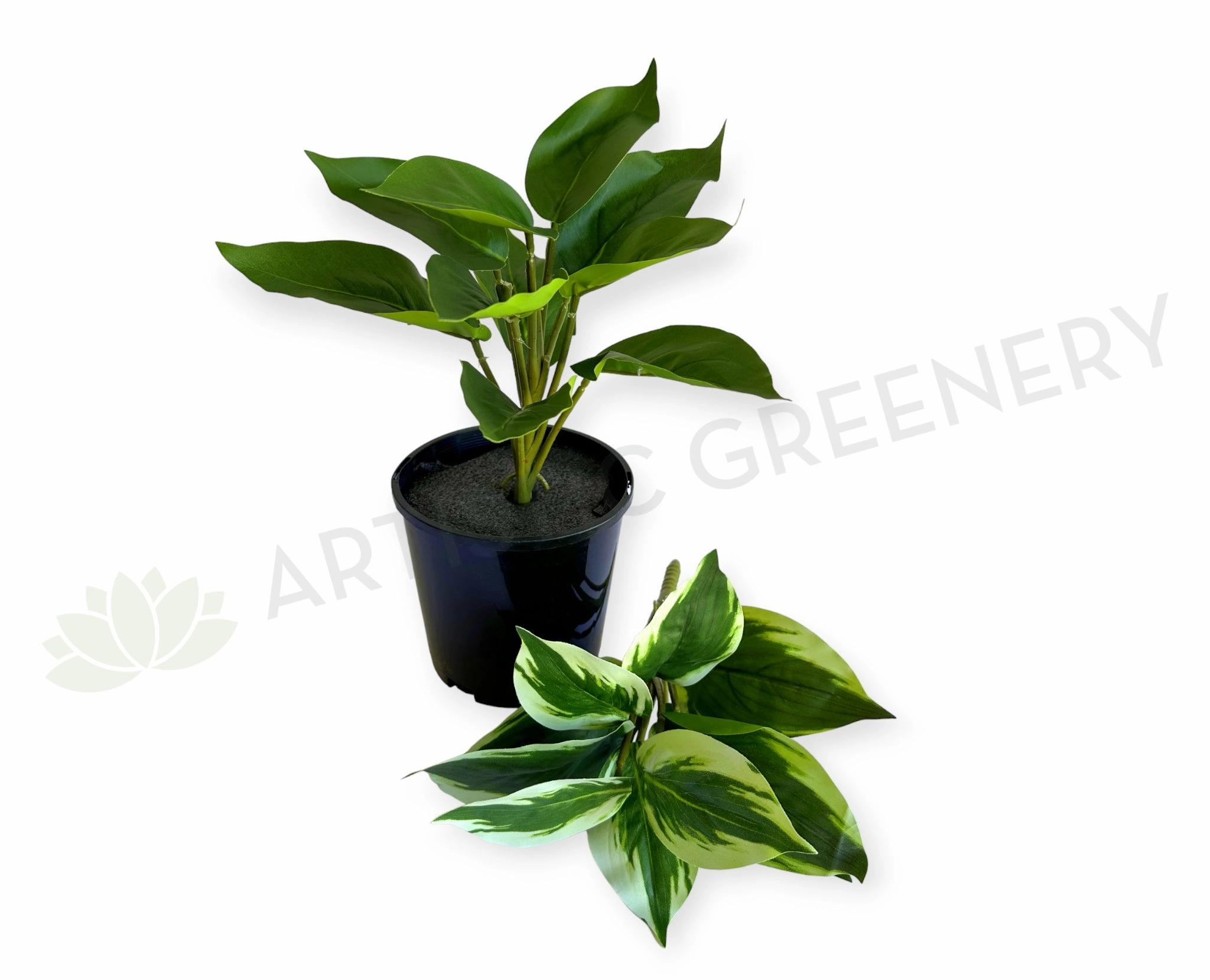 SP0461S Arrowroot Plant 31cm 2 Styles indoor plant stand  