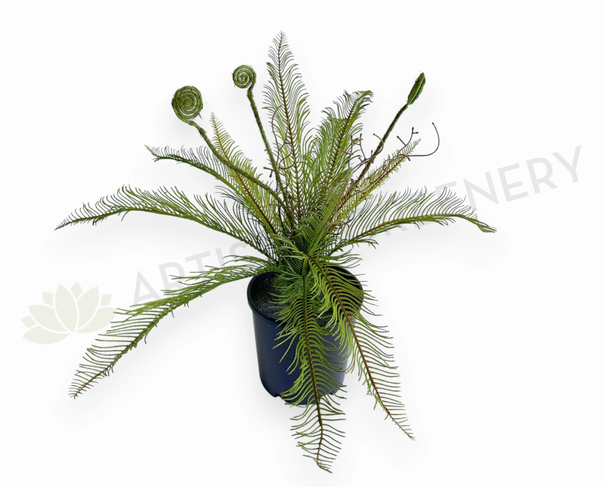 SP0467 Silver Fern Bunch 56cm Green xl flower pot  