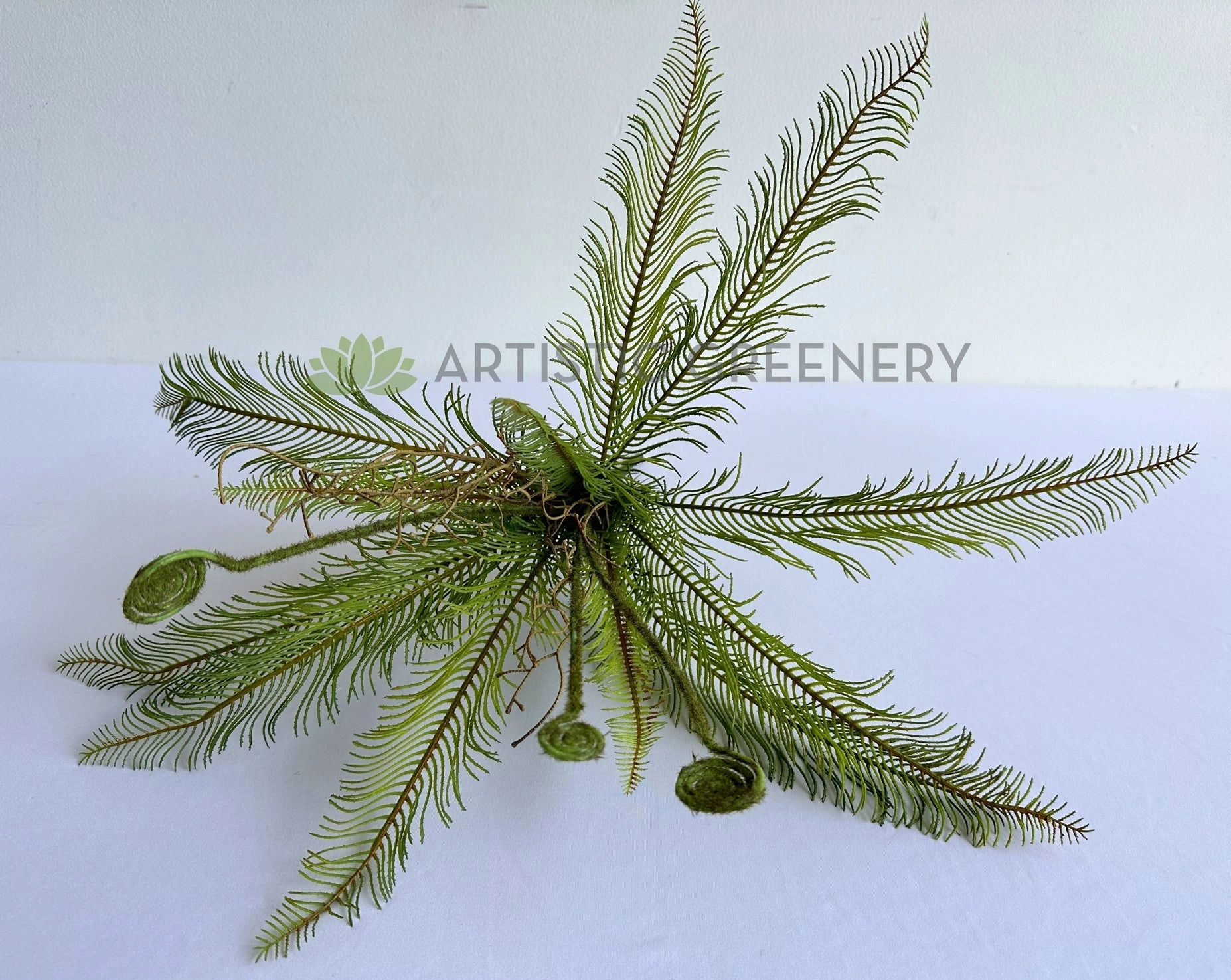 SP0467 Silver Fern Bunch 56cm Green