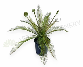 SP0467 Silver Fern Bunch 56cm Green xl flower pot  