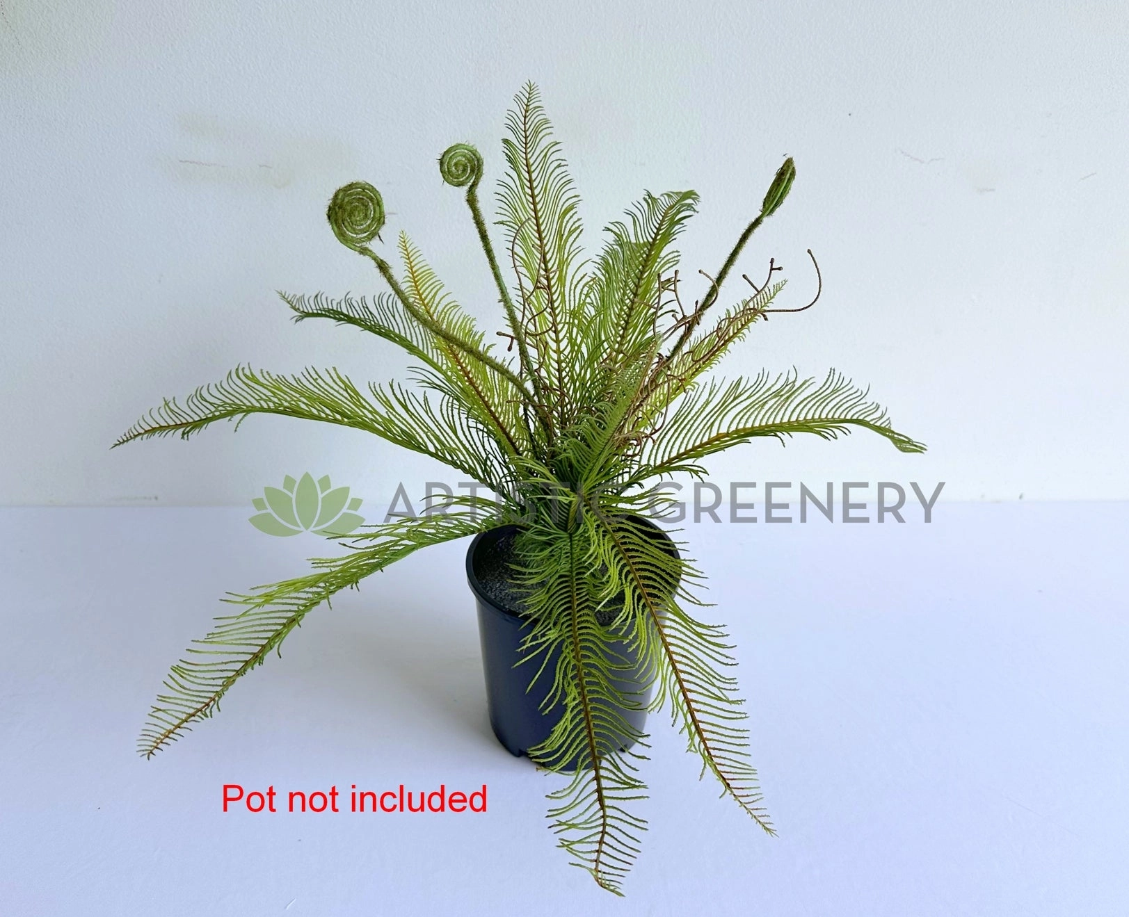 SP0467 Silver Fern Bunch 56cm Green