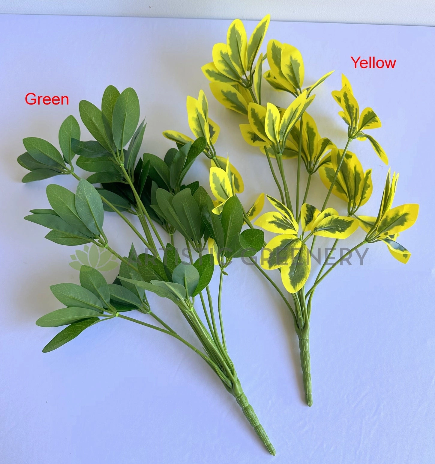 SP0470 Euuonymus Japonicus / Japanese Spindlebush 51cm 2 styles