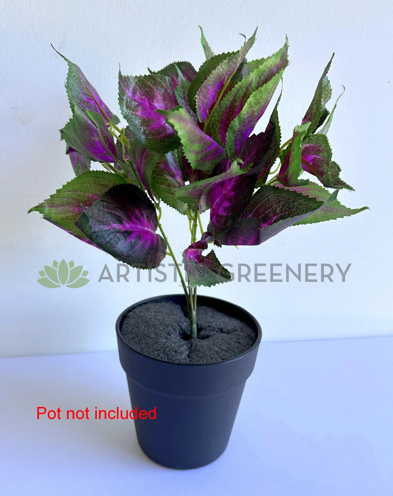 SP0477 Coleus Bunch 34cm Purple