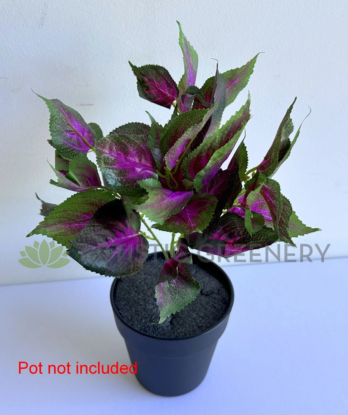 SP0477 Coleus Bunch 34cm Purple