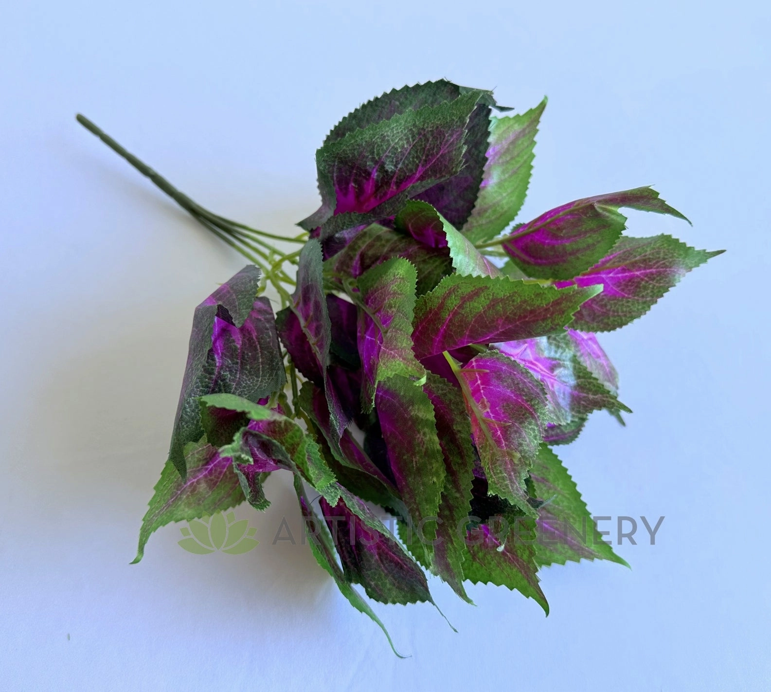 SP0477 Coleus Bunch 34cm Purple
