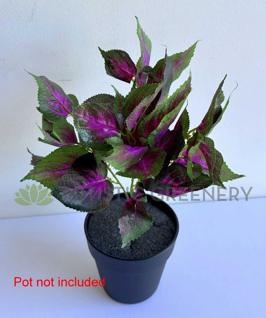 SP0477 Coleus Bunch 34cm Purple