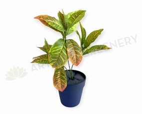 SP0478 Red Croton Plant 43cm xl flower pot  