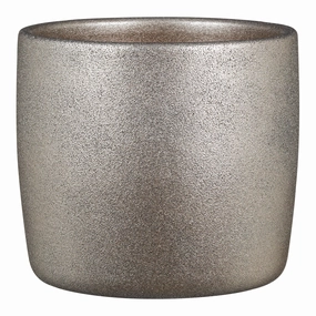 Sparkling Silver Indoor Ceramic Cover Pot Sparkling Silver  (900) tall green plant  