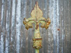 Spear Top Stake dried flower branch  