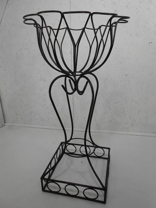 Square Base Planter with Curled Top cactus succulent plant  