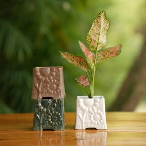 Square Shape Flower Design Ceramic Planter shade perennial  